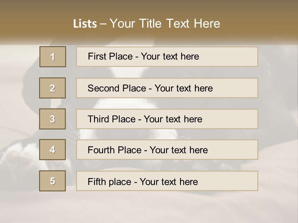 A Black And White Dog Laying On Top Of A Bed PowerPoint Template