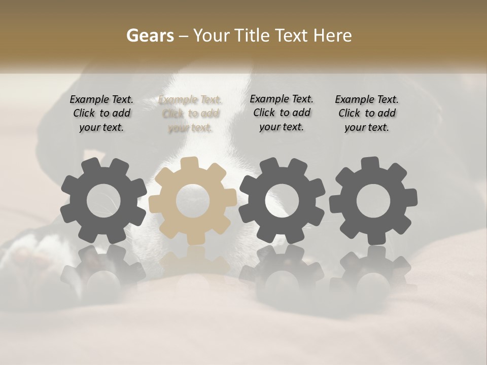 A Black And White Dog Laying On Top Of A Bed PowerPoint Template