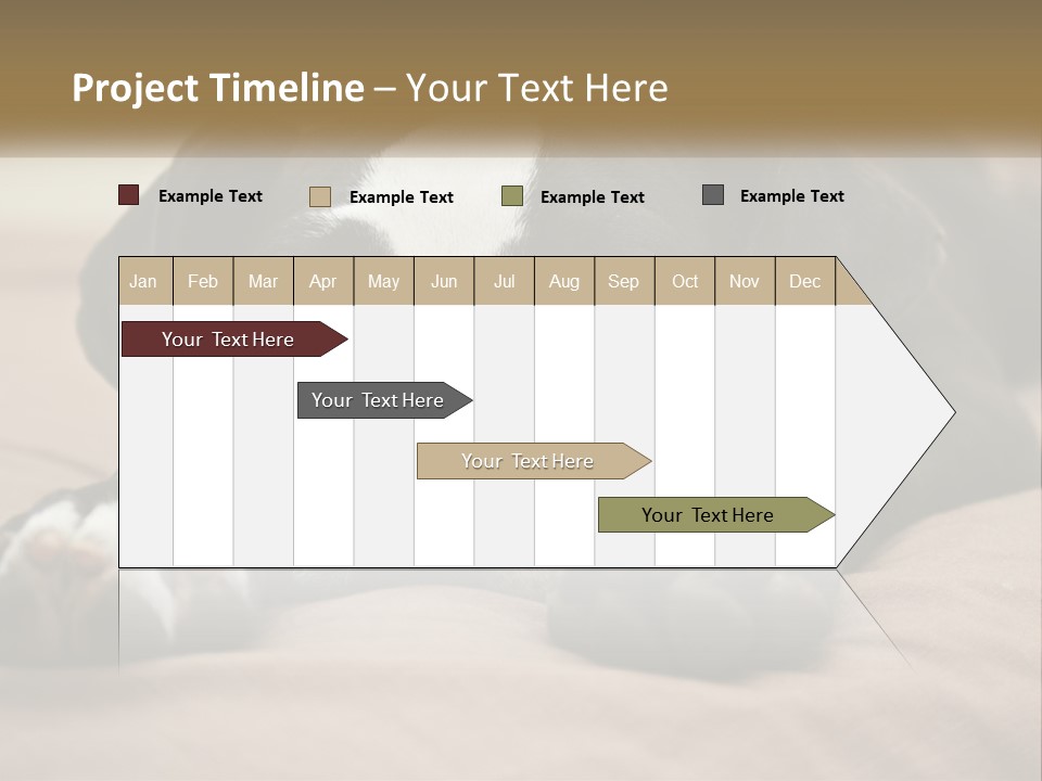 A Black And White Dog Laying On Top Of A Bed PowerPoint Template