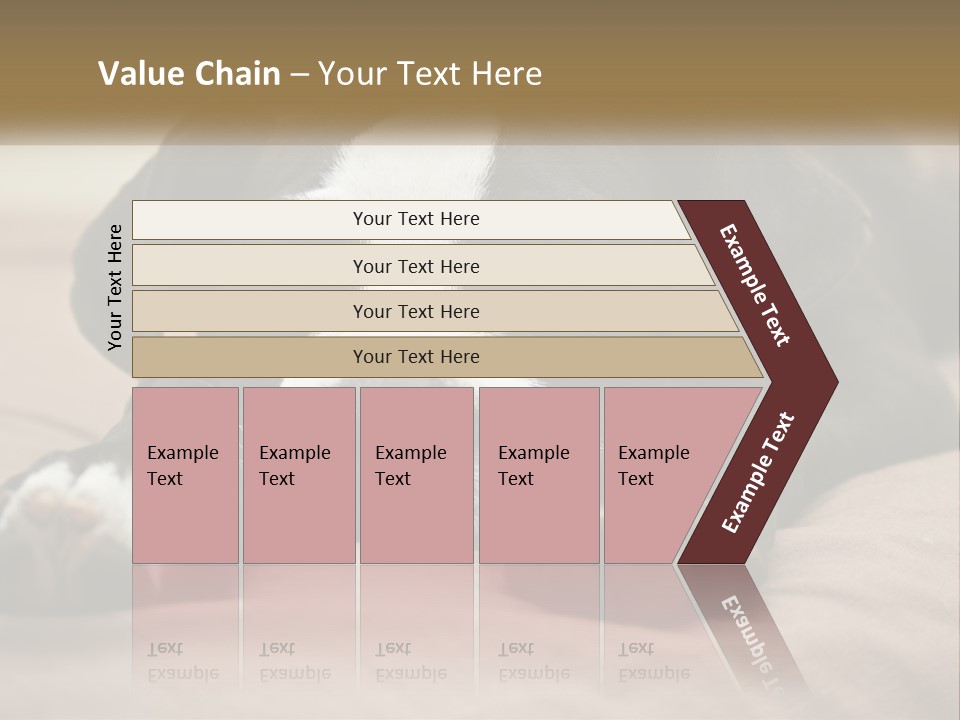 A Black And White Dog Laying On Top Of A Bed PowerPoint Template