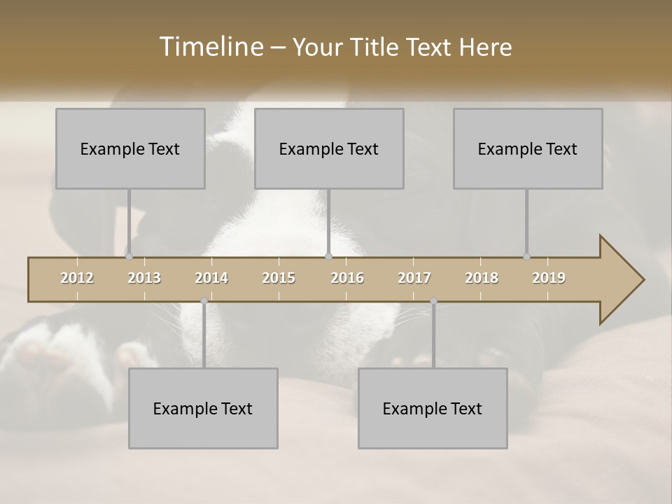 A Black And White Dog Laying On Top Of A Bed PowerPoint Template