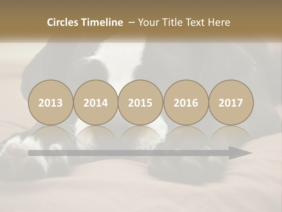 A Black And White Dog Laying On Top Of A Bed PowerPoint Template