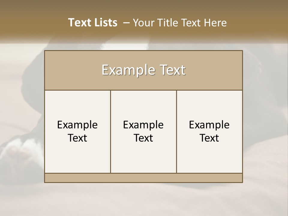 A Black And White Dog Laying On Top Of A Bed PowerPoint Template