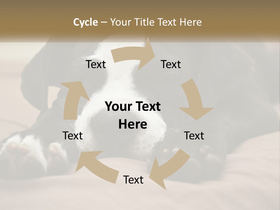 A Black And White Dog Laying On Top Of A Bed PowerPoint Template