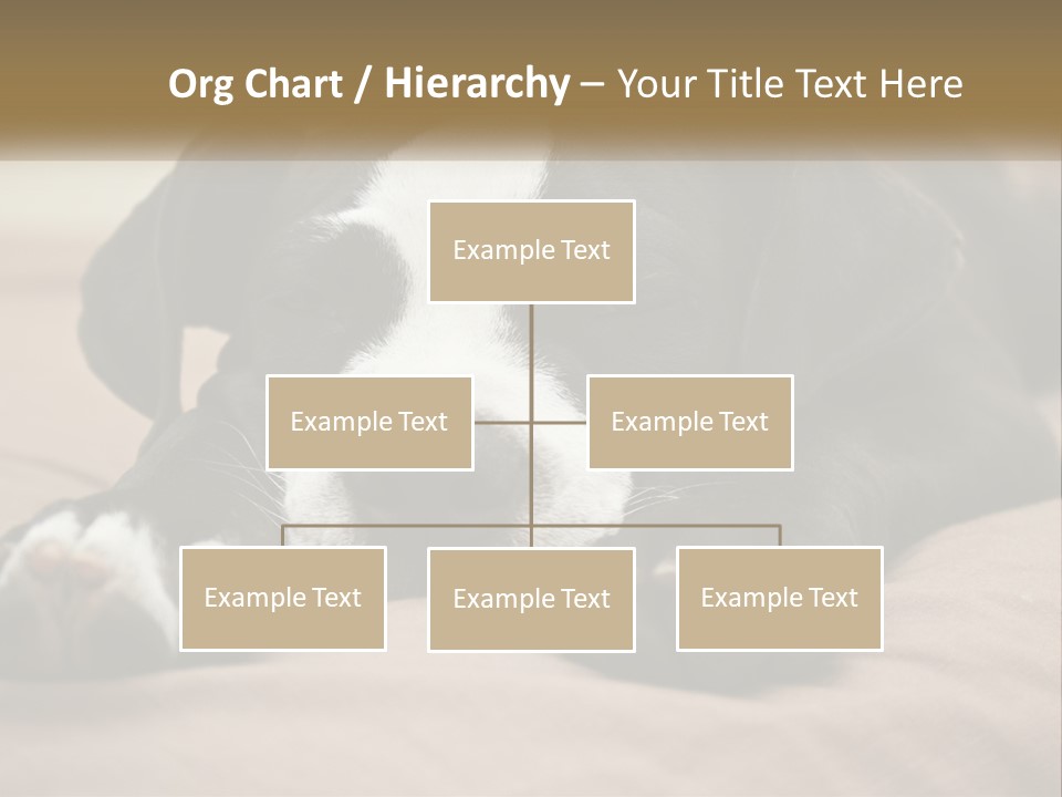 A Black And White Dog Laying On Top Of A Bed PowerPoint Template