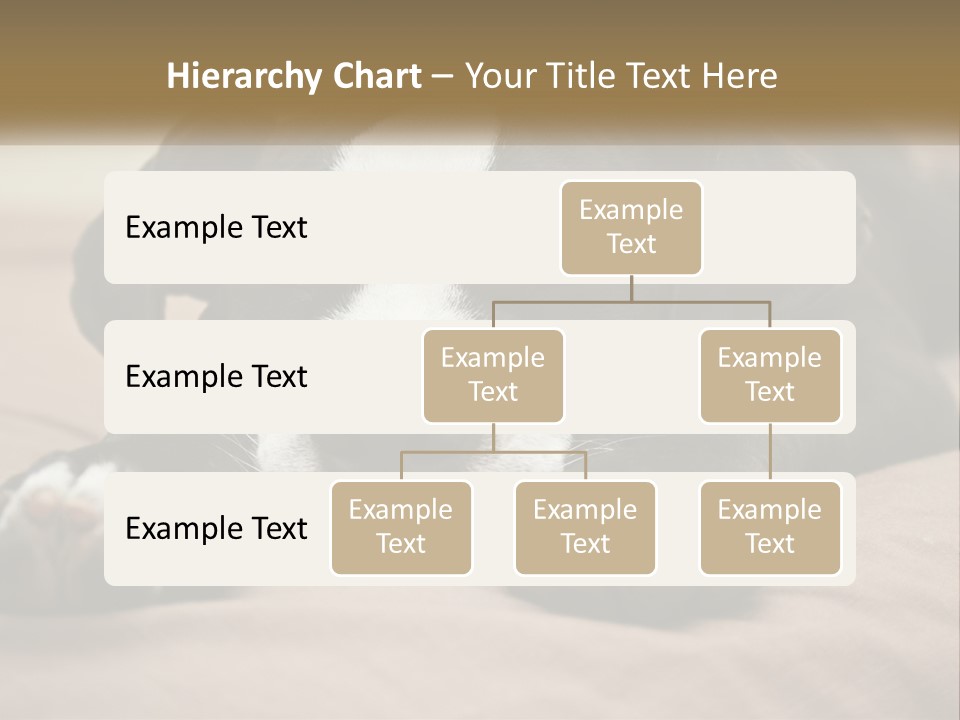 A Black And White Dog Laying On Top Of A Bed PowerPoint Template