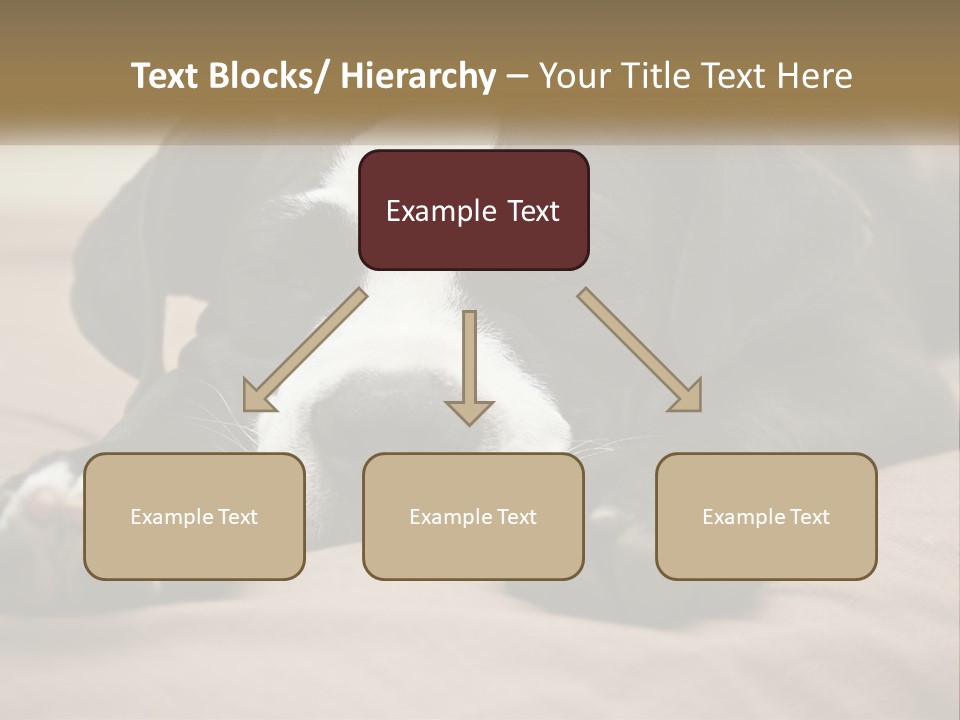 A Black And White Dog Laying On Top Of A Bed PowerPoint Template