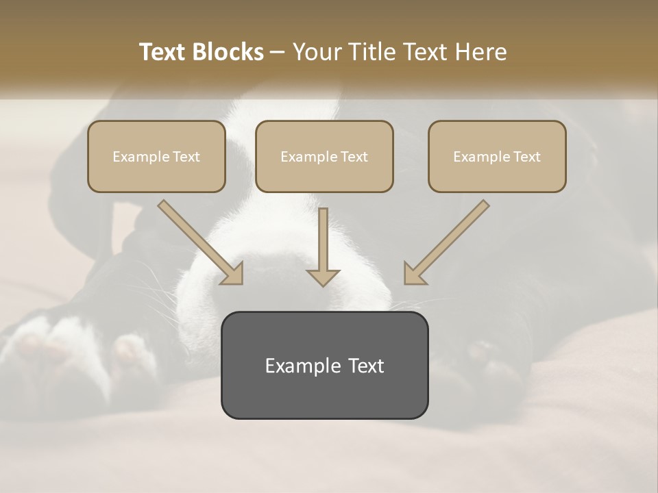 A Black And White Dog Laying On Top Of A Bed PowerPoint Template