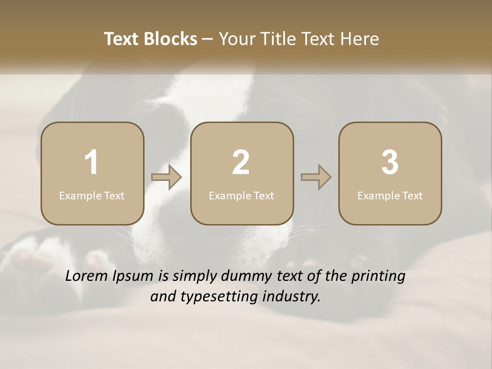 A Black And White Dog Laying On Top Of A Bed PowerPoint Template