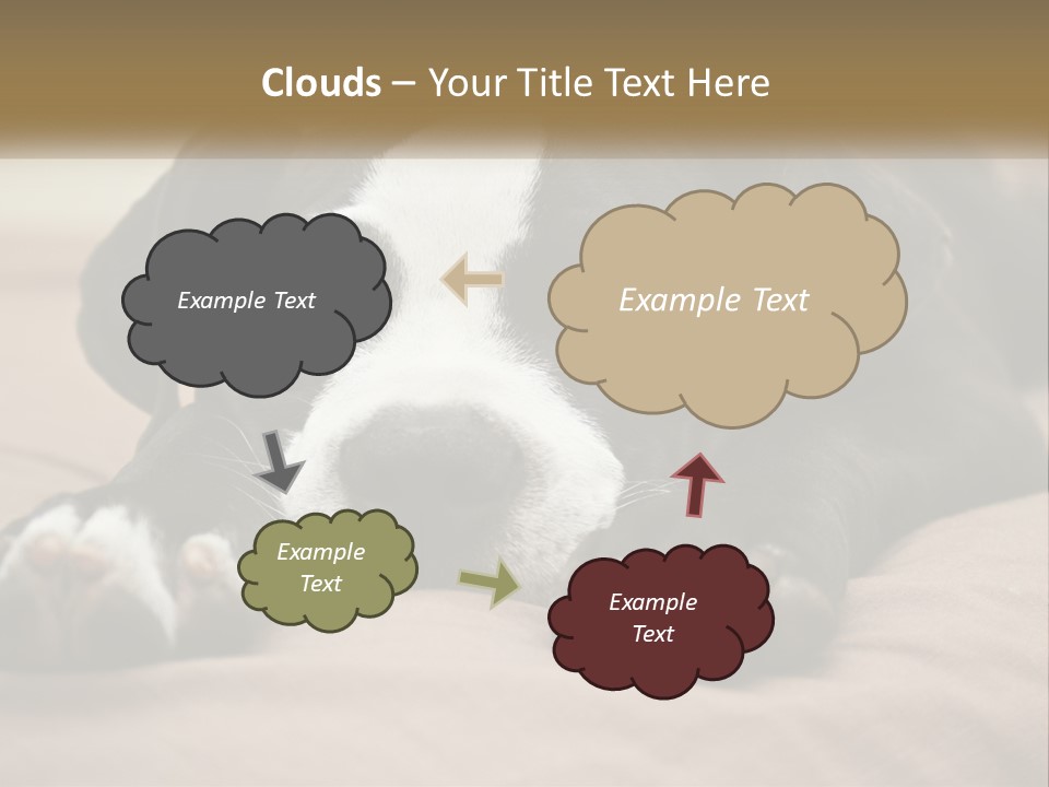 A Black And White Dog Laying On Top Of A Bed PowerPoint Template