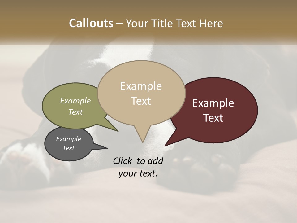 A Black And White Dog Laying On Top Of A Bed PowerPoint Template