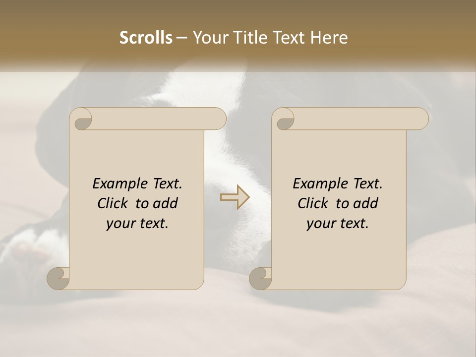 A Black And White Dog Laying On Top Of A Bed PowerPoint Template