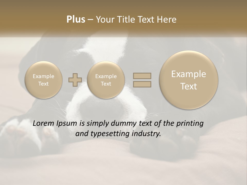 A Black And White Dog Laying On Top Of A Bed PowerPoint Template