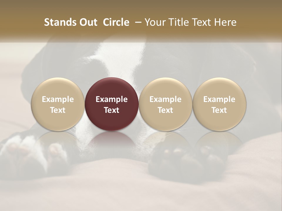 A Black And White Dog Laying On Top Of A Bed PowerPoint Template