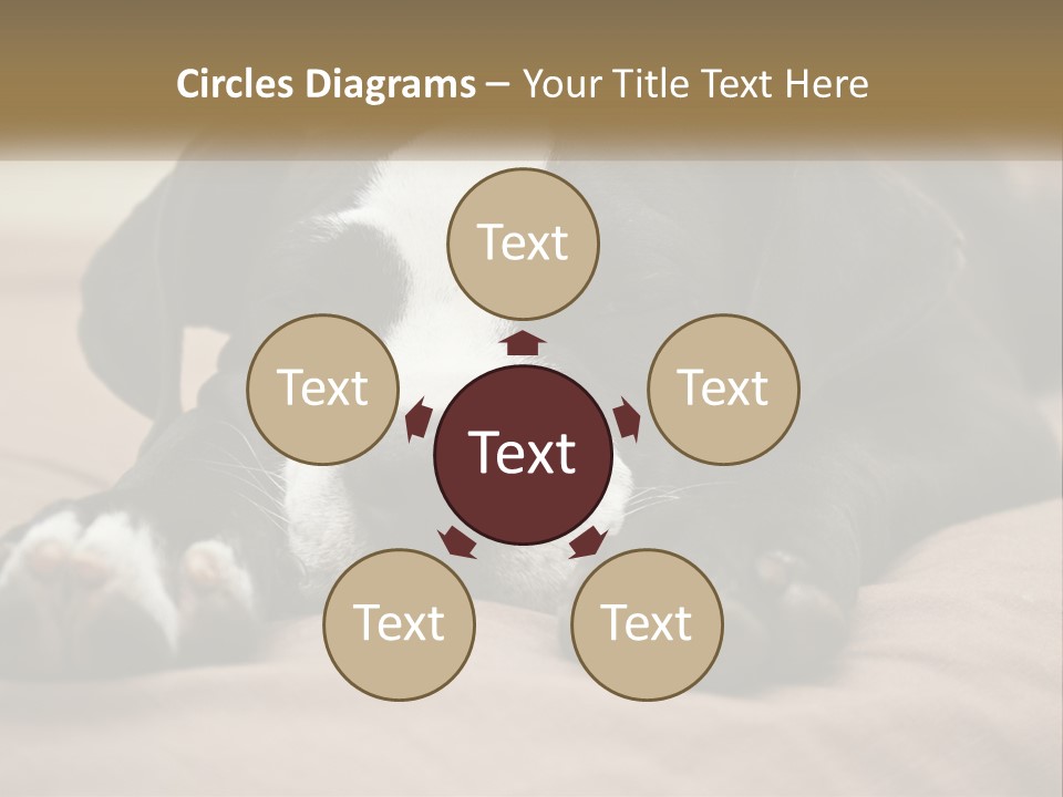 A Black And White Dog Laying On Top Of A Bed PowerPoint Template