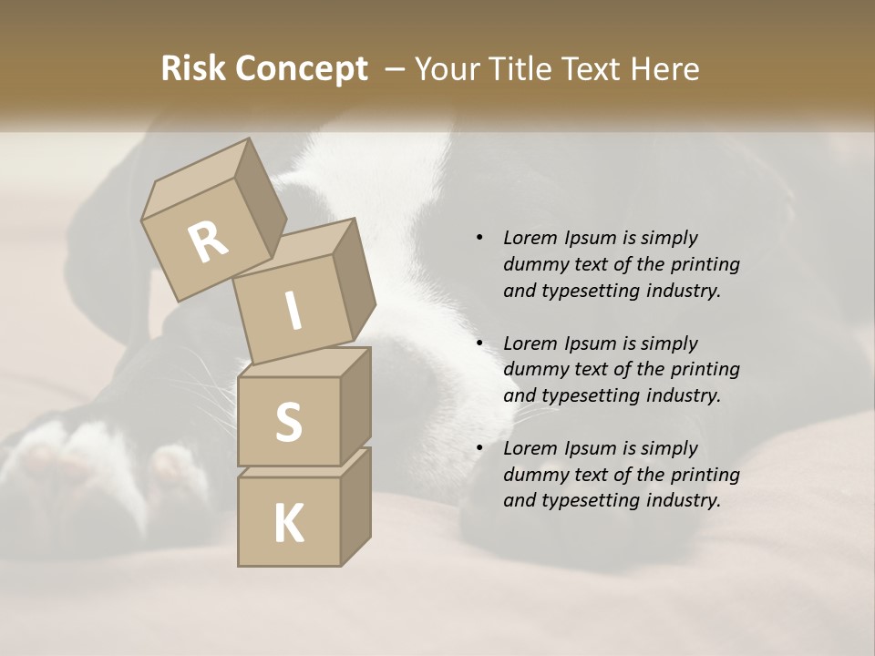 A Black And White Dog Laying On Top Of A Bed PowerPoint Template