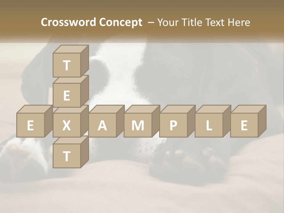 A Black And White Dog Laying On Top Of A Bed PowerPoint Template