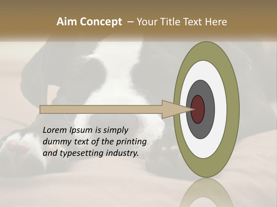 A Black And White Dog Laying On Top Of A Bed PowerPoint Template