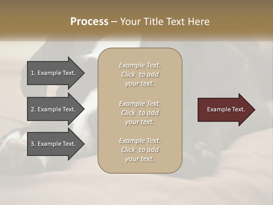 A Black And White Dog Laying On Top Of A Bed PowerPoint Template
