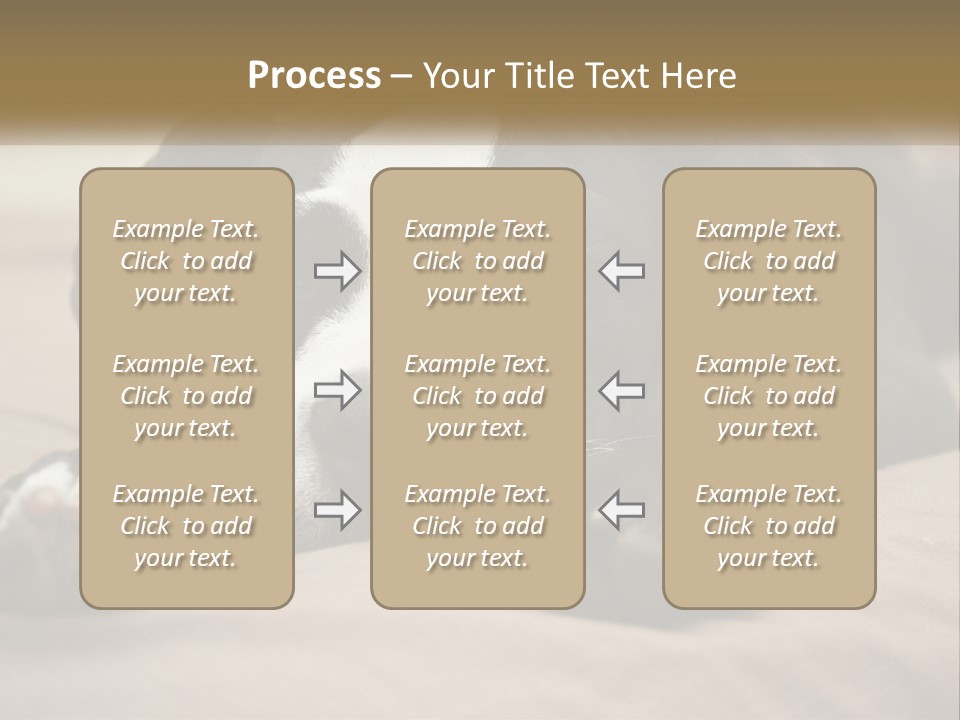 A Black And White Dog Laying On Top Of A Bed PowerPoint Template