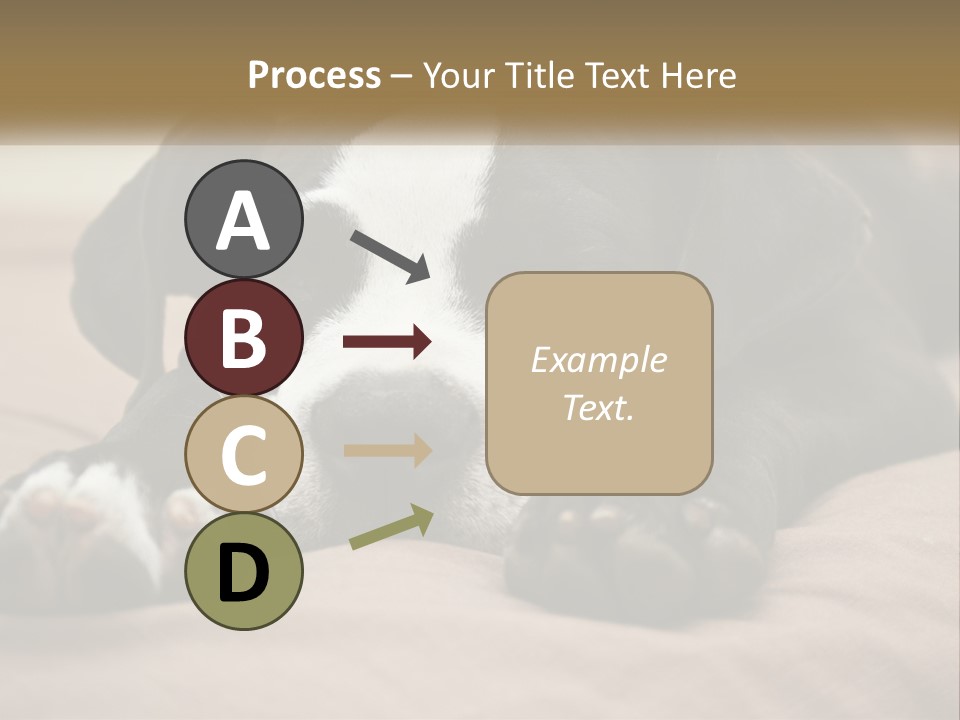 A Black And White Dog Laying On Top Of A Bed PowerPoint Template