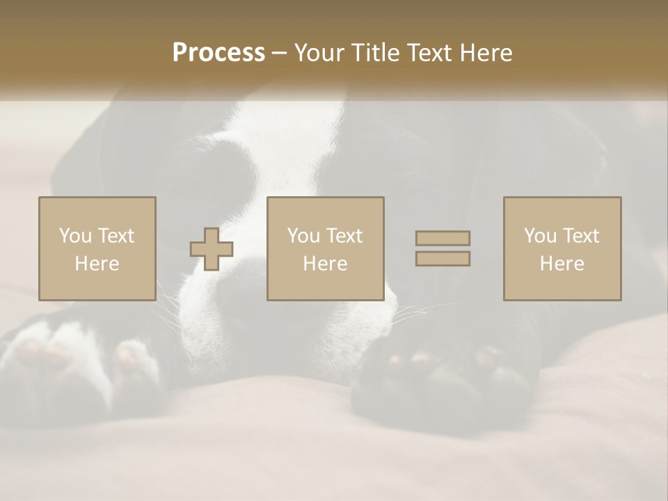 A Black And White Dog Laying On Top Of A Bed PowerPoint Template