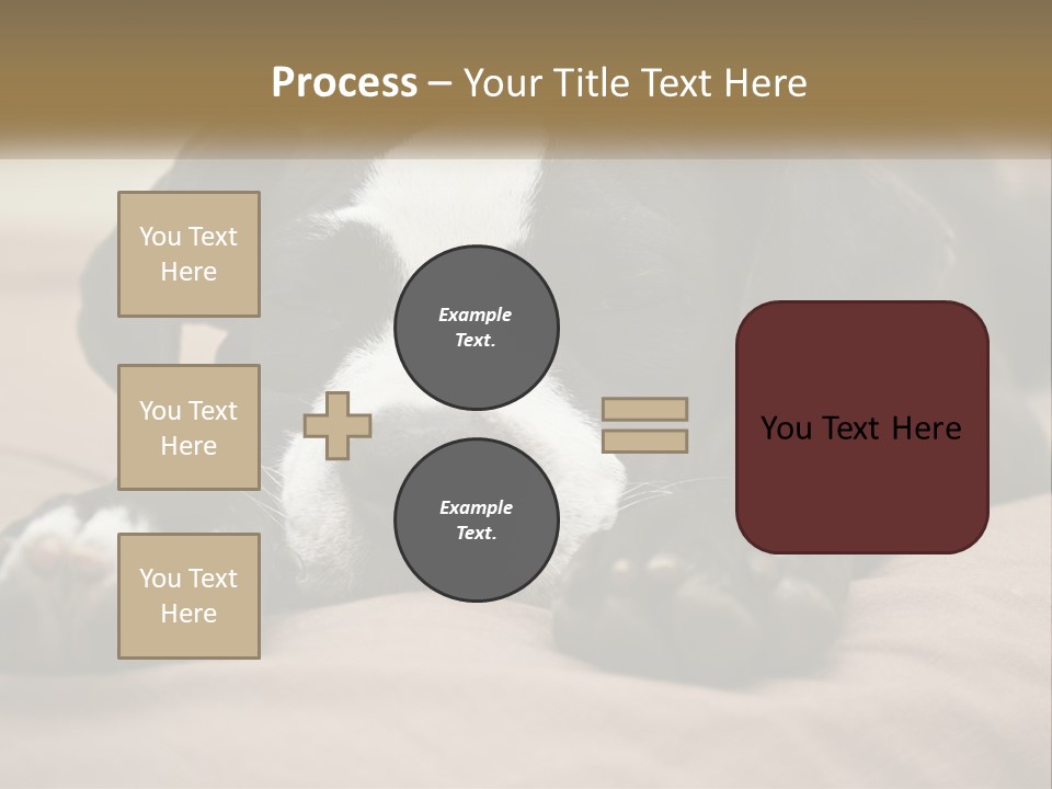 A Black And White Dog Laying On Top Of A Bed PowerPoint Template