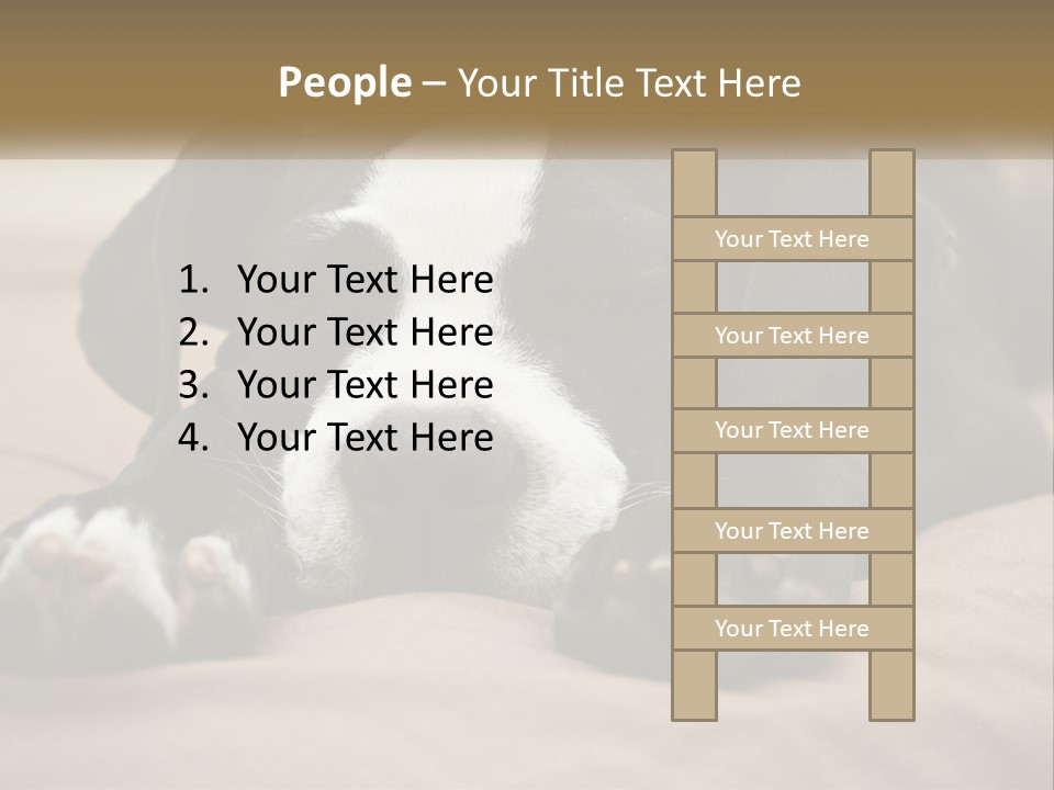 A Black And White Dog Laying On Top Of A Bed PowerPoint Template