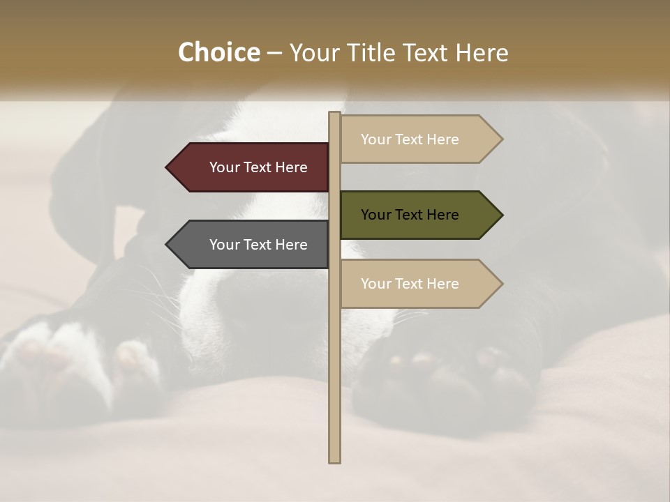 A Black And White Dog Laying On Top Of A Bed PowerPoint Template