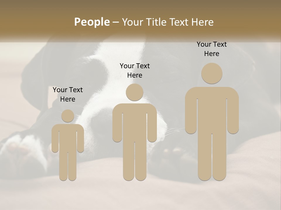 A Black And White Dog Laying On Top Of A Bed PowerPoint Template