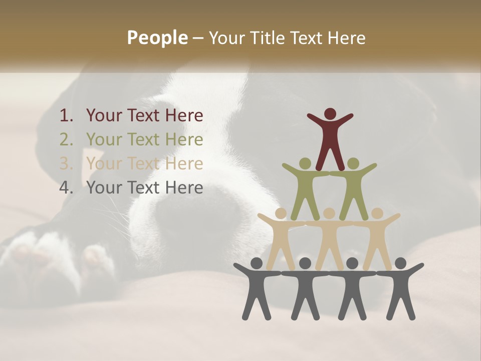 A Black And White Dog Laying On Top Of A Bed PowerPoint Template