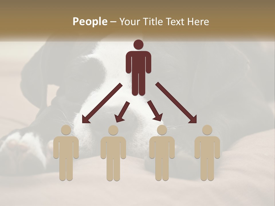 A Black And White Dog Laying On Top Of A Bed PowerPoint Template