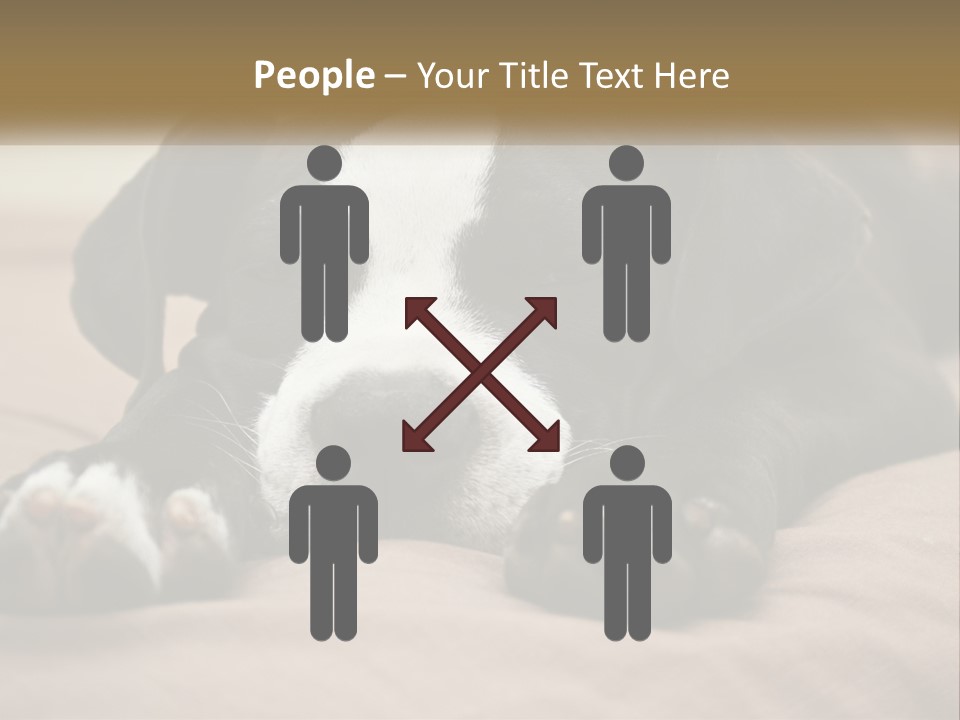 A Black And White Dog Laying On Top Of A Bed PowerPoint Template