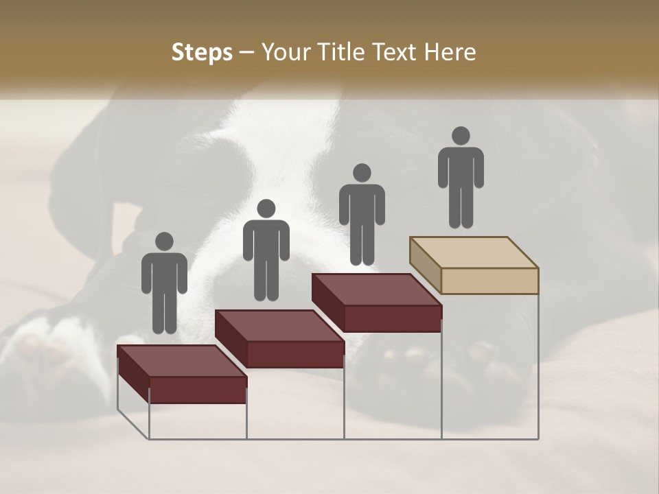 A Black And White Dog Laying On Top Of A Bed PowerPoint Template