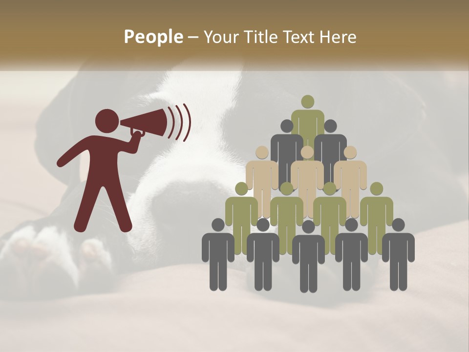 A Black And White Dog Laying On Top Of A Bed PowerPoint Template