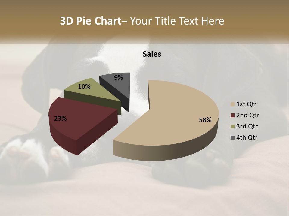 A Black And White Dog Laying On Top Of A Bed PowerPoint Template
