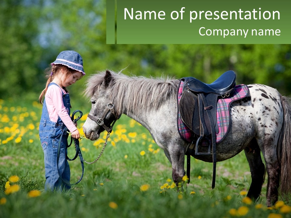 A Little Girl Standing Next To A Horse In A Field PowerPoint Template