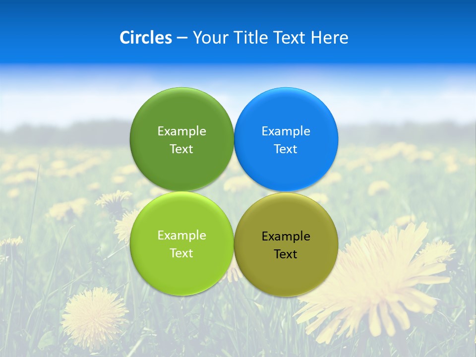 A Field Full Of Yellow Dandelions Under A Blue Sky PowerPoint Template