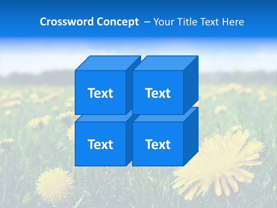 A Field Full Of Yellow Dandelions Under A Blue Sky PowerPoint Template