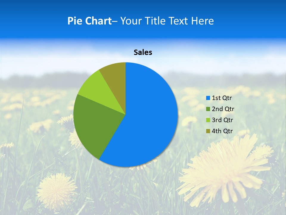 A Field Full Of Yellow Dandelions Under A Blue Sky PowerPoint Template