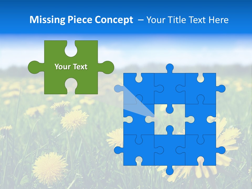 A Field Full Of Yellow Dandelions Under A Blue Sky PowerPoint Template