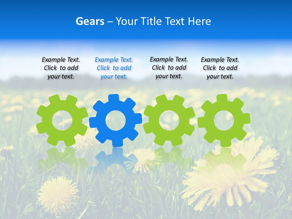 A Field Full Of Yellow Dandelions Under A Blue Sky PowerPoint Template