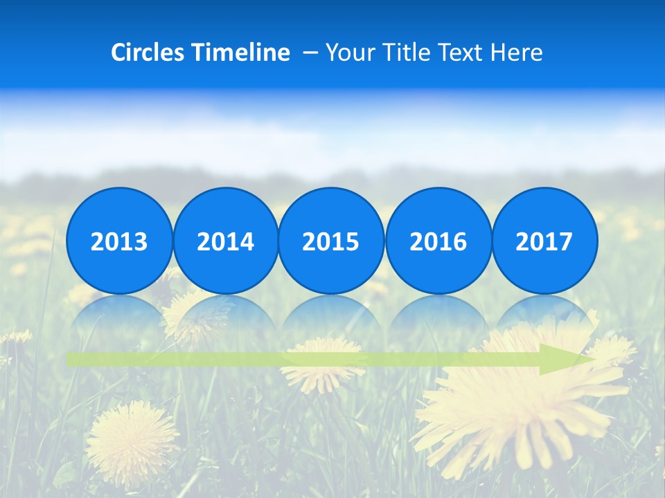 A Field Full Of Yellow Dandelions Under A Blue Sky PowerPoint Template