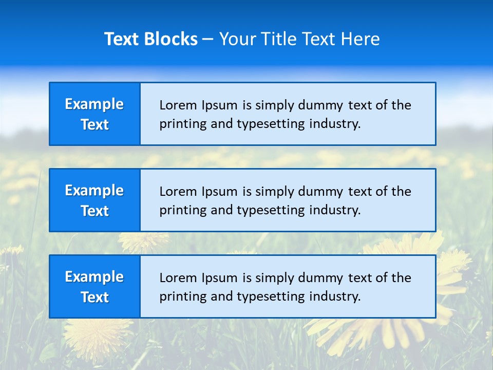 A Field Full Of Yellow Dandelions Under A Blue Sky PowerPoint Template