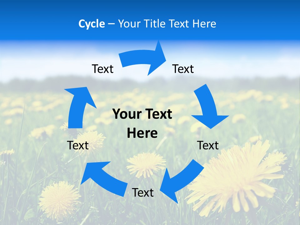A Field Full Of Yellow Dandelions Under A Blue Sky PowerPoint Template