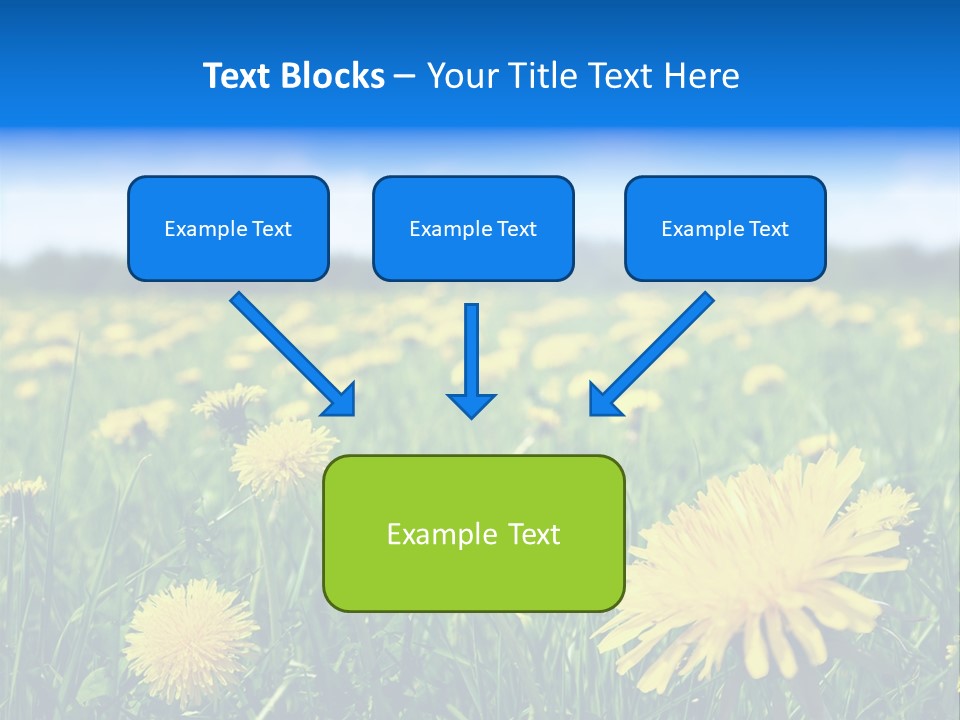 A Field Full Of Yellow Dandelions Under A Blue Sky PowerPoint Template