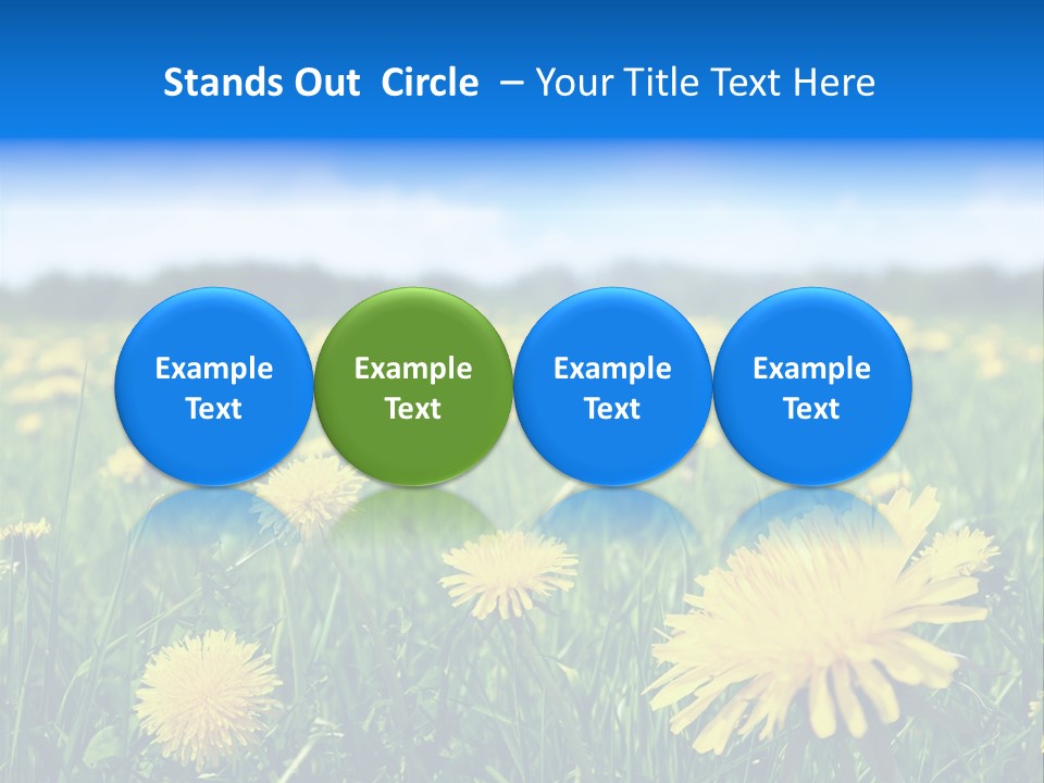 A Field Full Of Yellow Dandelions Under A Blue Sky PowerPoint Template