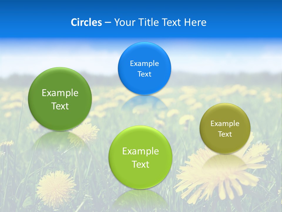 A Field Full Of Yellow Dandelions Under A Blue Sky PowerPoint Template