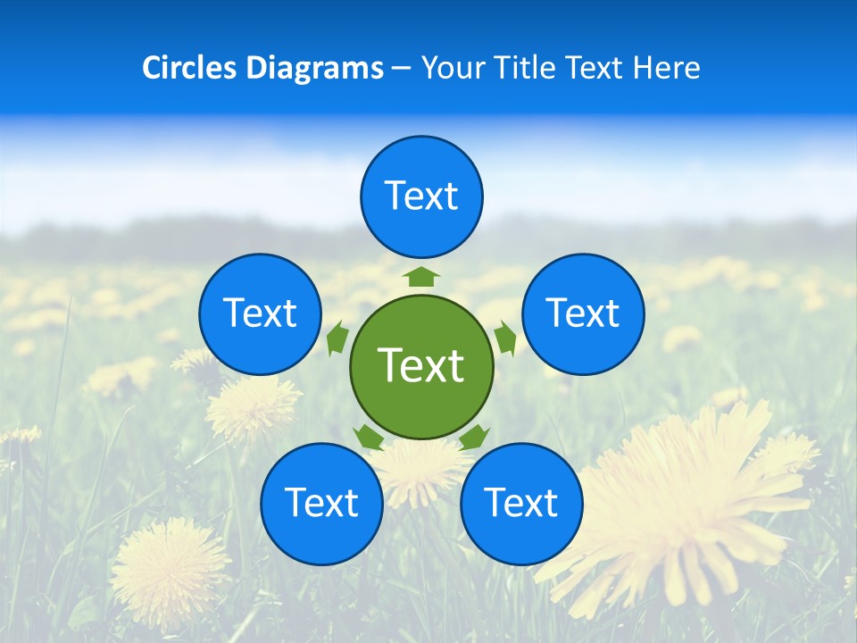 A Field Full Of Yellow Dandelions Under A Blue Sky PowerPoint Template