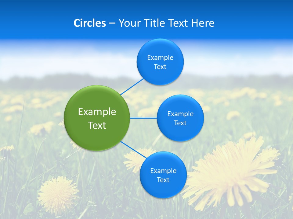 A Field Full Of Yellow Dandelions Under A Blue Sky PowerPoint Template